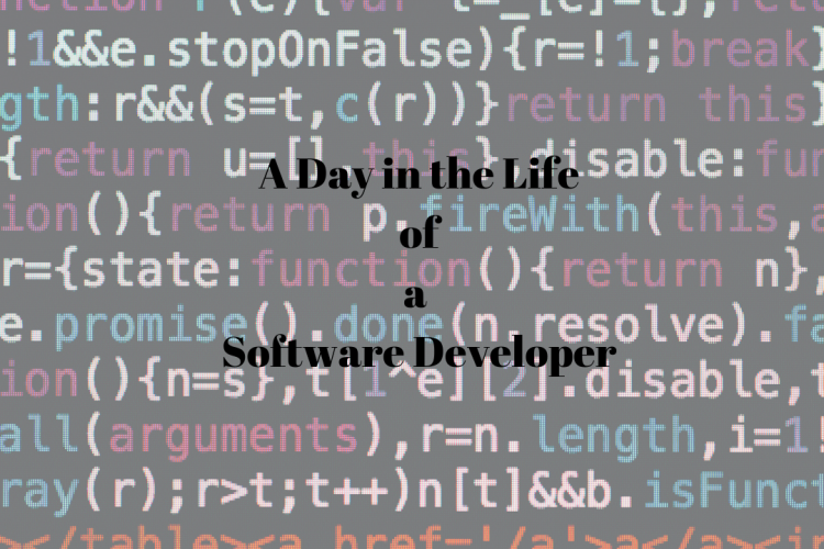 a day in the life of a software developer_max technical training